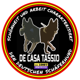Team De Casa Tassio